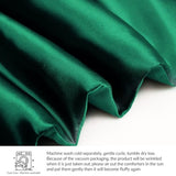 Whale Flotilla 2-Piece Reversible Silky Soft Twin Size Comforter Bedding Set, Luxurious Satin Comforters with Satin Pillowcase, Lightweight Duvet for All Seasons,Deep Green Whale Flotilla