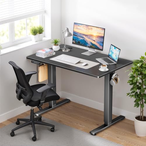 48 x 24 in Electric Standing Desk - Memory Height Adjustable Ergonomic Sit-to-Stand Rising Computer Table Gaming Workstations with 2 Hooks and Wire Hole for Home Office, Black SageNest