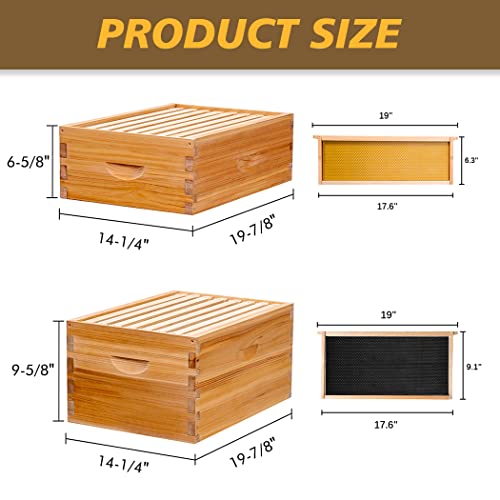 MayBee 8-Frame Langstroth Beehive Dipped in 100% Beeswax, Bee Hive for Beginner, Honey Bee Hives Includes 2 Deep Bee Boxes, 1 Bee Hive Super with Beehive Frames and Foundation (3 Layer)