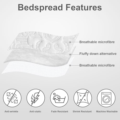 Hansleep White Quilt Queen Size - Damask Ultrasonic Summer Bedspread Queen, Soft Lightweight Coverlet Bedding Set, 3 Pieces (1 Quilt, 2 Pillow Shams) Hansleep