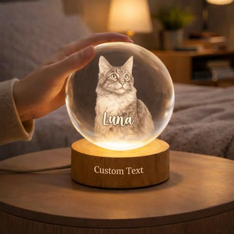 Evamall Personalized Pet Memorial Crystal Ball Night Light, Custom Cat Portrait Lamp, Pet Loss Keepsake, Gift for Dog Lovers, Dog Cat Memorial Gift Evamall