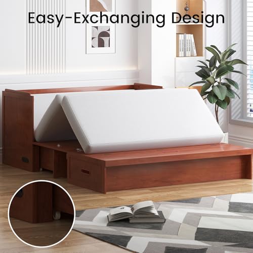 PUREMIND Murphy Bed Queen, Modern Murphy Cabinet Bed with USB Charging Station & Large Storage Drawer, Space-Saving Full Foldable Platform Bed for Guest Bedroom (Cherry) PUREMIND