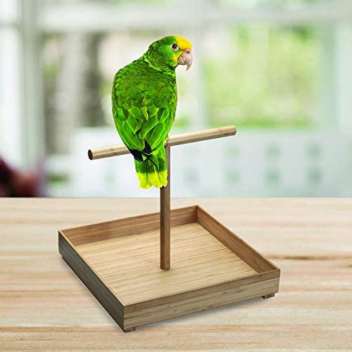 Bird Stand in Bamboo Wood for Medium to Large Birds, Tabletop T-Perch with Base, 16 in x 16 in - WoodArtSupply