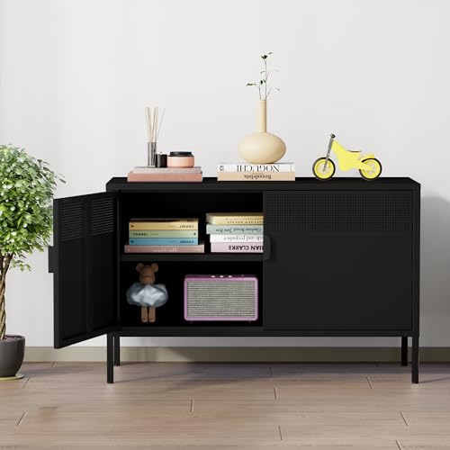 Chshin Metal Storage Cabinet with Doors,Black Accent Cabinet,Metal Locker Storage Cabinets,2 Door TV Media Stand with Removable Shelves for,Home,Office,Entryway,Living Room Chshin