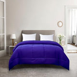 Blue Ridge Home Fashions Comforter Breathable Microfiber Duvet Insert, Summer Cooling Winter Warm Reversible Down Alternative Quilt Comforter for All Season, Full/Queen, Purple/Violet Blue Ridge Home Fashions