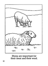 Farm Animals Coloring Book (Dover Little Activity Books: Animals) Dover Publications