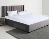 Queen Size Mattress Protector Waterproof, Premium 200 GSM Terry Mattress Cover, Soft & Breathable Bed Cover, Fitted Sheet Style Stretchable Deep Pockets 17" by Utopia Bedding (White) Utopia Bedding
