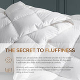 C&W Down Comforter Twin, All Season Duvet Insert - Medium Warmth, 100% Cotton Shell, 30oz Fill Weight, Soft, Noiseless & Breathable, Machine Washable, 3D Baffle Box, White (68"x90") C&W