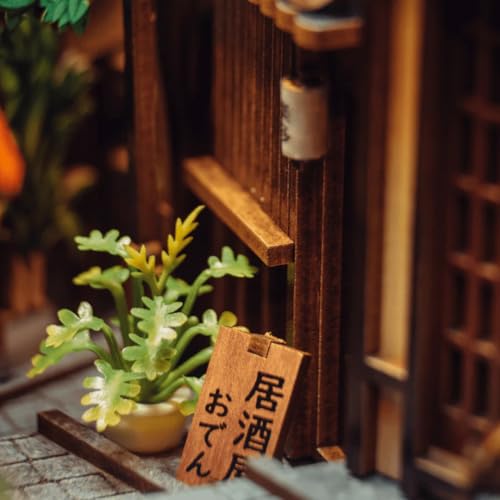 Anavrin Book Nook Kit Kyoto Gion – DIY 3D Wooden Booknook for Adults, Teens and Book Lovers, Bookshelf Insert Library Decor, Creative Gift for Family, Friends, and Elderly
