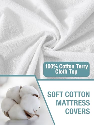 Bedecor Queen Waterproof Mattress Protector,Pee and Liquid Proof Cover for Pets, Elderly, and Incontinence, Fitted Deep Pocket for 9-18 Inch Deep Bedecor
