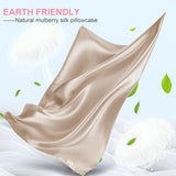Mulberry Silk Pillow Cases 2 Pack Standard Size 20x26 Inches with Hidden Zipper, Ultra Smooth and Soft Breathable Cooling Silk Satin Pillowcase Set of 2, Better for Hair and Skin, Gifts for Women Men LYSHIN