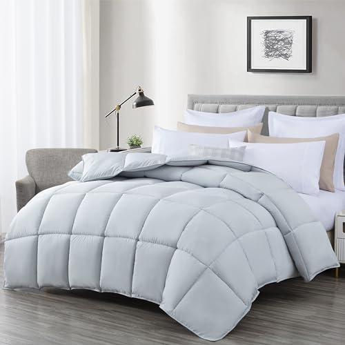 Chezmoi Collection All Season Twin Size Down Alternative Comforter - Plush Microfiber Fill - Box Stitch Quilted - Duvet Insert with Corner Tabs (Twin/Single, Silver Gray) Chezmoi Collection