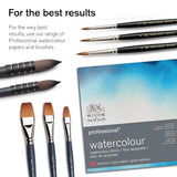 Winsor & Newton Professional Watercolor Paint Set, Lightweight Metal Box, 24 Half Pan Winsor & Newton