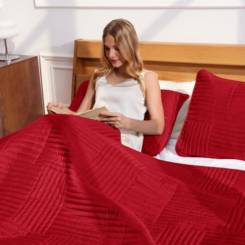 Whale Flotilla Ultra Soft Queen Quilt Bedding Set, Lightweight Microfiber Red Quilts Bedspreads Full Size, 3 Piece Ultrasonic Geometric Coverlet Bed Cover for All Seasons Whale Flotilla