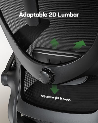 Marsail Ergonomic Office Chair: Office Desk Chair with High Back Mesh and Adjustable Lumbar Support Rolling Work Swivel Task Chairs with Wheel 3D Armrests and Headrest Marsail
