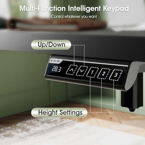 Monomi Electric Standing Desk, 63 x 28 inches Height Adjustable Ergonomic Home Office Sit Stand Up Desk with Memory Preset Controller (Black Top/Black Frame) Monomi