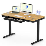 FLEXISPOT Comhar Electric Standing Desk with Drawer Desktop & Adjustable Frame w/USB Charge Ports (Bamboo-Look Laminate/Black, Wood) FLEXISPOT