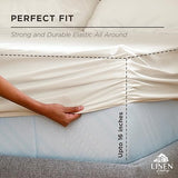 Linen Home 100% Cotton Percale Weave Fitted Sheet, Twin Size, Ivory, 1 Deep Pocket Fitted Sheet, Fits Mattress Upto 16" Crisp and Cool Strong Bed Linen, 39"X75"+15" Linen Home