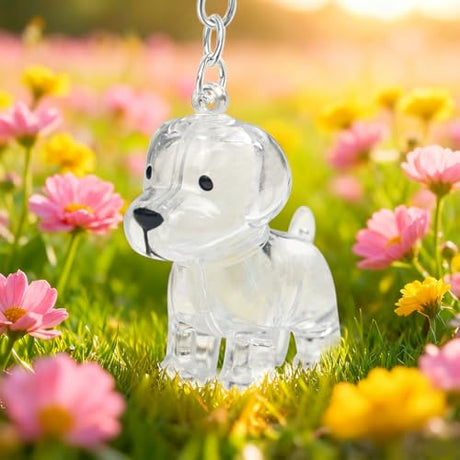 ELANE Dog Hair Keepsake，2 Pack Pet Hair Memorial Keepsake Pet Hair Keychain Keepsake (Clear Dogs) ELANE