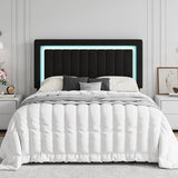 SHA CERLIN Queen Size Velvet Bed Frame with LED Light, Adjustable Vertical Channel Tufted Headboard, Strong Wooden Slats Support, Noise-Free, No Box Spring Needed, Black SHA CERLIN