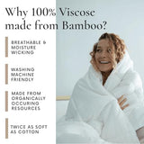 Bamboo Bay All Season Queen Size Comforter, 100% Viscose Made from Bamboo, Soft Quilted Down Alternative Duvet Insert with Corner Tabs, Breathable Cooling Bedding, 90 x 94 Inch Bamboo Bay