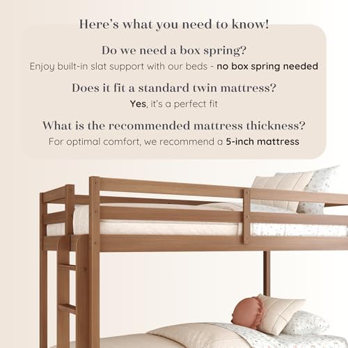 Grain & Grove Bear Twin Over Twin Bunk Bed, Sturdy Bunk Bed Frame for Kids, Plywood Bunk with Ladder, Guardrail, and Slats, No Box Spring Required, Oak Embossed Pecan Grain & Grove