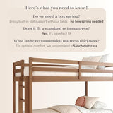 Grain & Grove Bear Twin Over Twin Bunk Bed, Sturdy Bunk Bed Frame for Kids, Plywood Bunk with Ladder, Guardrail, and Slats, No Box Spring Required, Oak Embossed Pecan Grain & Grove