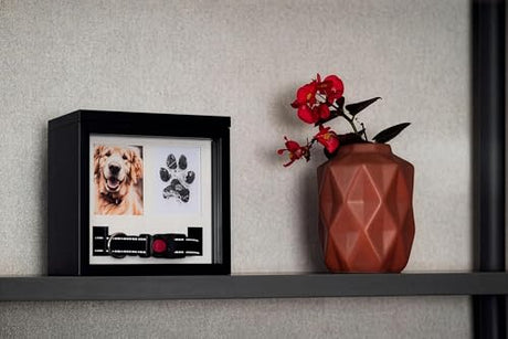 OtterPets Dog Urn for Ashes, 4 Customizable Displays with Paw Print Ink Kit and Flannel Bag, Pet Urns for Dogs Ashes, Pet Cremation Box, Cat Urn for Ashes, Dog Ashes Keepsake (Black) OtterPets