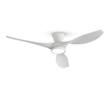 TALOYA 52 inch Ceiling Fans with Lights Remote Control, Modern Low Profile Ceiling Fan with Quiet Reversible DC Motor for Bedroom Living Room and Patio White TALOYA