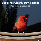 NETVUE Birdfy - Upgraded Smart Bird Feeder with Camera Solar Powered, Auto Capture Each Bird & Notify in Time, 7-Day Free AI Recognition, NETVUE