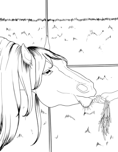 Horse Coloring Book: For Kids Ages 9-12 (Young Dreamers Coloring Books)