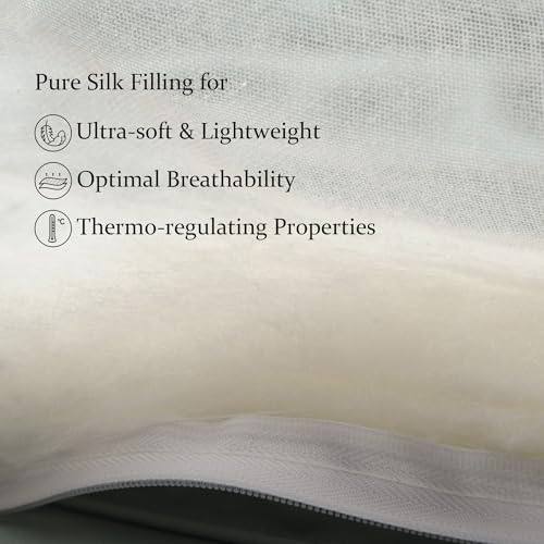 CUDDLE DREAMS Lightweight Silk Filled Comforter for Summer, Detachable Tencel Duvet Cover for Easy Care, Naturally Breathable (Steel Gray, Twin) CUDDLE DREAMS