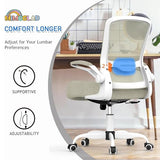 Mimoglad Home Office Chair, High Back Desk Chair, Ergonomic Mesh Computer Chair with Adjustable Lumbar Support and Thickened Seat Cushion (Modern, Beige) Mimoglad