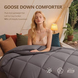 Luxury Goose Down Comforter Single Size Duvet Insert All Season Bedding Quilt Grey,30x20Inch OASWET