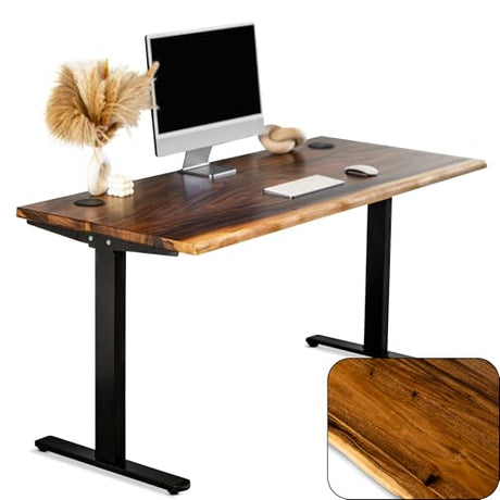 Standing Desk – Walnut Solid Wood Desk, Natural Live Edge, Adjustable Height Dual Motor, Sit Stand for Home Office (Black, W60 x D27) Modern Wood Style