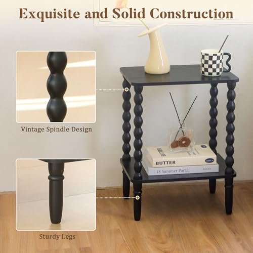 Fultyle Black Side Table, Small End Table with 2-Tier Shelf, Vintage Night Stand with Storage for Bedroom Living Room, Small Spaces (Black) Fultyle