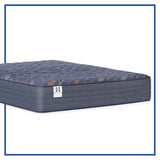Sealy Warner 12" Medium Tight Top Innerspring Mattress - Queen Sealy
