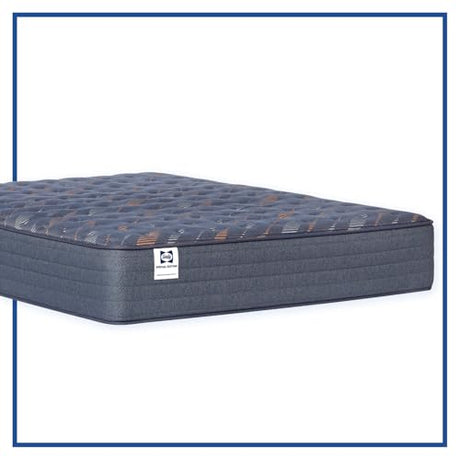 Sealy Warner 12" Medium Tight Top Innerspring Mattress - Queen Sealy