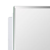 IDYLLOR Plastic Medicine Mirror Cabinet for Bathroom 16 x 20 inch, Surface and Recessed Mount IDYLLOR