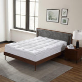 CirclesHome White Futon Mattress Toppers with Anti-Slip Anchors - Futon Cover Filled with Plush Down Alternative Fill - Full Size Futon Cover is Soft, Comfortable and Allergy Free (Size: 54 x 75 x 3) CIRCLESHOME