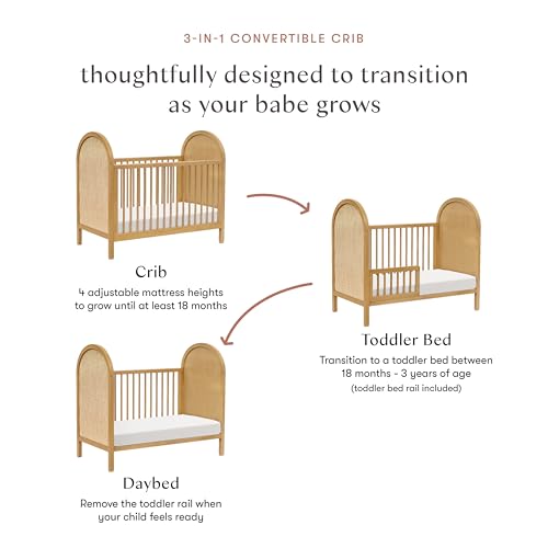 babyletto Bondi Cane 3-in-1 Convertible Crib with Toddler Bed Conversion Kit in Honey with Natural Cane, Greenguard Gold Certified