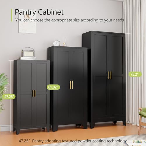 GAIOUS Metal Storage Cabinet With 2 Doors and 3 Adjustable Shelves, Black Kitchen Pantry for Food, Utility Cabinet for Laundry Room, Cupboard GAIOUS