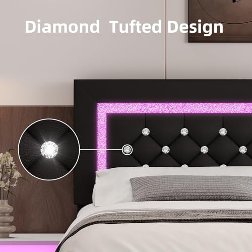 BarnFurin Queen Size Bed Frame with LED Lights, Upholstered Platform Bed with Diamond Tufted Headboard, No Box Spring Needed, Noise Free, Easy Assembly, Black BarnFurin