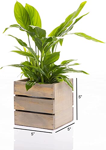 Wood Planter Box with Wine Crate Styled, 5 Inch Square, Rustic Barn Wood, Plastic Liner, Wedding Flowers Holder, Home and Venue Decor, (5x5 Wine Crate Set of 4) - WoodArtSupply