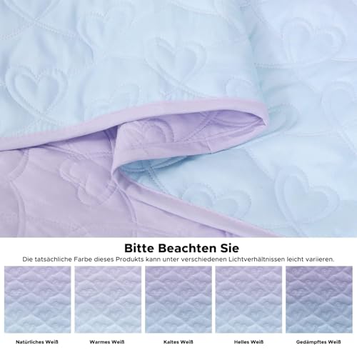 SCHNAUZER HOME Twin Size 2 Piece Quilt Set, Bailey Printed Bedding Coverlet Set, Lightweight Soft Reversible Bedspread Sets for All Season (1 Quilt & 1 Pillow Shams) SCHNAUZER HOME