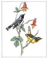 Creative Haven Audubon Birds Coloring Book (Adult Coloring Books: Animals) Dover Publications