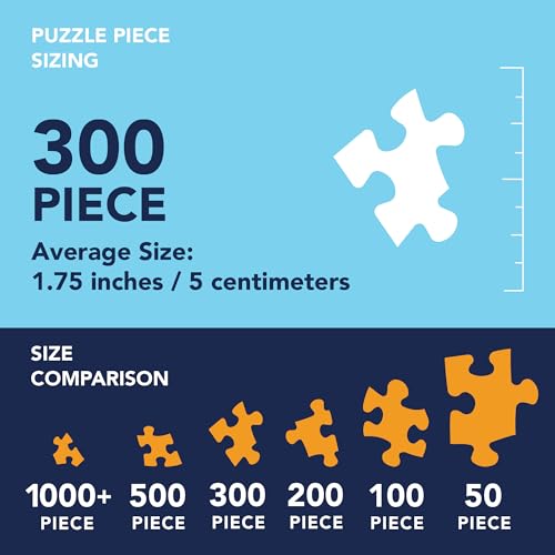 Bits and Pieces - Value Set of (3) 300 Piece Jigsaw Puzzles for Adults - Each Puzzle Measures 18" x 24" - 300 pc Blooming Back Yard, Nature Haven, Serene Summer Night Jigsaws by Artist Alan Giana Bits and Pieces