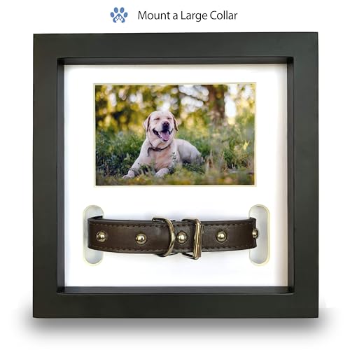 PAWCEPTIVE Dog Memorial Picture Frame with 5 Display Options- Dog Collar Memorial Frame Gift - Cat or Dog Pet Loss Gift for a Grieving Friend - Pet Remembrance Gift and Sympathy Photo Keepsake