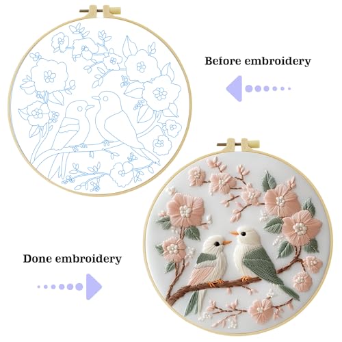 JOZYSH 11CT Embroidery Kit for Beginners Adult, Hummingbird Embroidery Kit for Beginners Include Embroidery Cloth Hoops Threads for Craft Lover Hand Stitch with Embroidery Skill Techniques