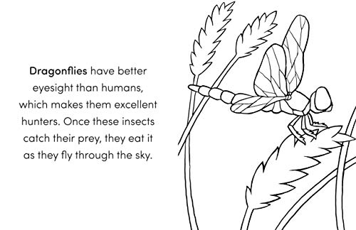 Bug Book for Kids: Coloring Fun and Awesome Facts (A Did You Know? Coloring Book) WoodArtSupply
